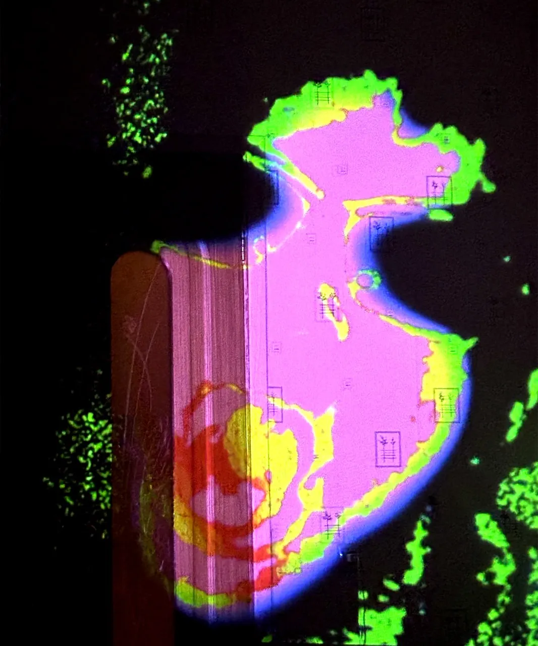 Kinect