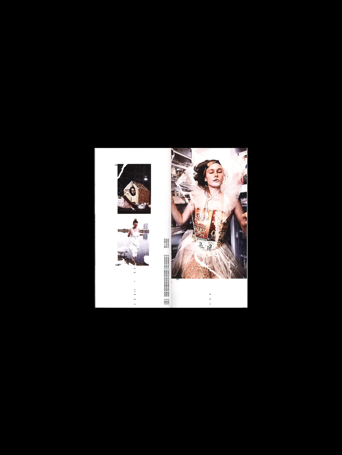 Trash Aesthetics. Visual Culture of Waste