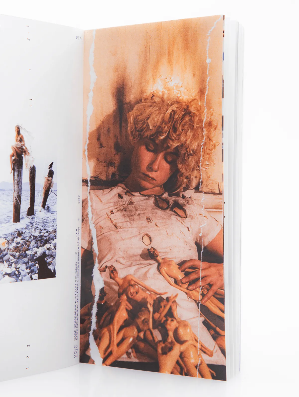 Trash Aesthetics. Visual Culture of Waste