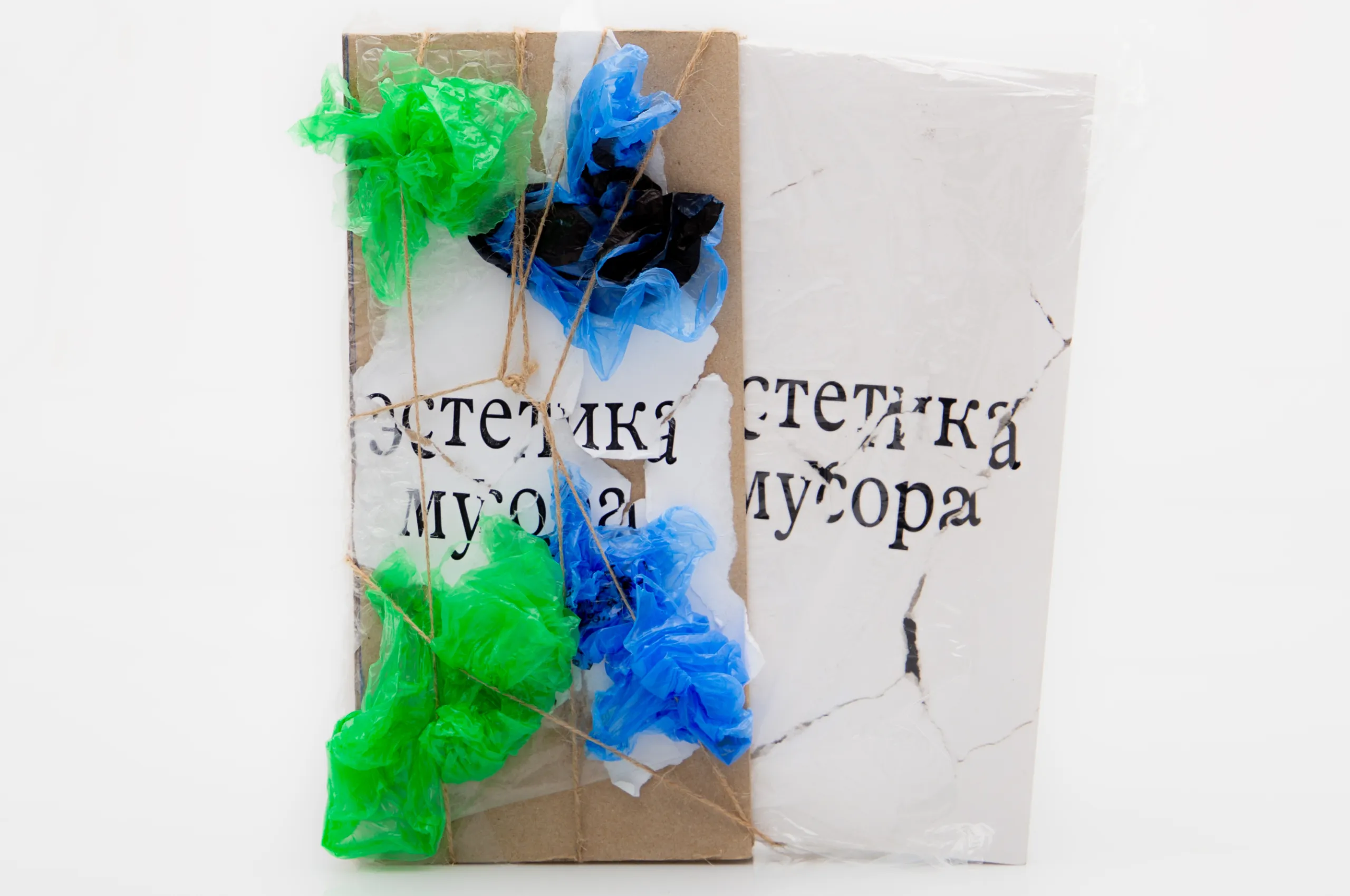 Trash Aesthetics. Visual Culture of Waste